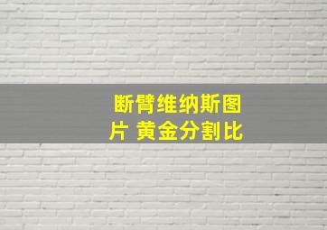 断臂维纳斯图片 黄金分割比